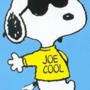 Meet your Posher, Johnna